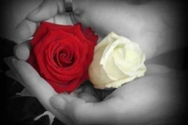 Bến bờ yêu thương