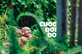 Bài đăng trên Giai phẩm Giác Ngộ Xuân Quý Mão 2023 - Thiết kế: Phòng Mỹ thuật BGN/ Tống Viết Diễn