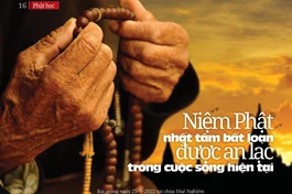 Niệm Phật nhất tâm bất loạn được an lạc trong cuộc sống hiện tại 