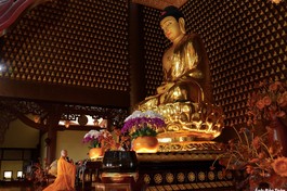 Nuôi dưỡng căn lành