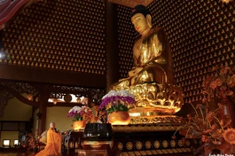 Nuôi dưỡng căn lành