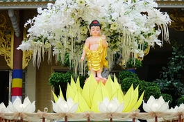 Thánh tượng Đức Phật sơ sinh trên xe hoa kính mừng Phật đản của Báo Giác Ngộ