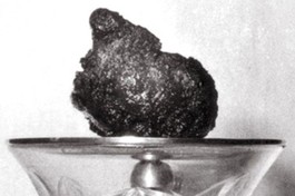 [Trái tim bất tử] Kỳ cuối: Bí mật trái tim linh thiêng