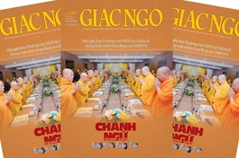 Báo Giác Ngộ số 1210: Chánh ngữ trong thời loạn thông tin