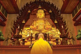 Ảnh: Bảo Toàn/BGN