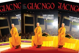 Báo Giác Ngộ số 1231: Năm uẩn đều không, vậy cái gì tái sinh? 