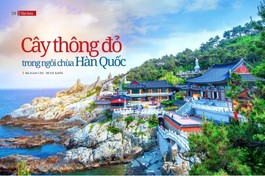 Bài trên Báo Giác Ngộ số 1231 - Thiết kế: Phòng Mỹ thuật BGN/Tống Viết Diễn