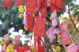 Đầu năm về chùa Chánh Thiên lễ Phật, hái lộc xuân