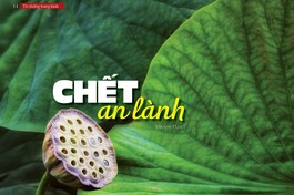 Bài trên Báo Giác Ngộ số 1238 - Thiết kế: Phòng Mỹ thuật BGN/Tống Viết Diễn