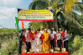 Trà Vinh: Chùa Phước Tường khởi công xây dựng đường đal bê-tông