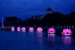 Bảy đóa sen hồng được thắp sáng trên sông Cà Ty (Bình Thuận)