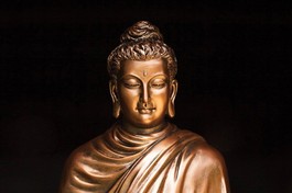 Đức Phật tự thân chứng ngộ và xác nhận rằng tất cả mọi người và mọi loài đều khổ đau bởi sự kiện sanh, già, bệnh, chết và đều mong muốn giải thoát khổ đau. Đó là thông điệp của sự hiểu biết và lòng cảm thông sâu sắc mà Bậc Giác ngộ mong muốn gởi đến cho thế giới loài người