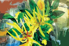 Ngồi ngắm hoàng lan