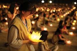 Ảnh minh họa: JUL