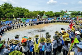 Trại Tâm Chánh XI - kỷ niệm ngày Hạnh truyền thống, do ngành nữ Gia đình Phật tử TP.HCM tổ chức 