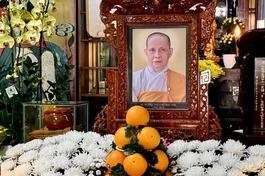 Di ảnh Ni trưởng Thích nữ Như Thọ 