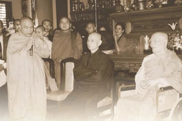 Đức Từ bi... nở sen xanh