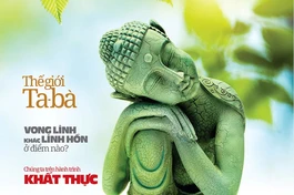 Báo Giác Ngộ số 1278: Vong linh khác linh hồn ở điểm nào?