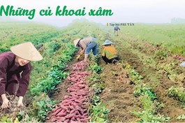 Bài trên Báo Giác Ngộ số 1276 - Thiết kế: Phòng Mỹ thuật BGN/Tống Viết Diễn