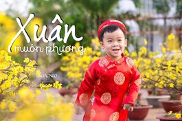 Thiết kế: Tống Viết Diễn/BGN
