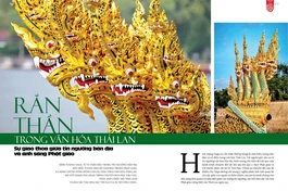 Bài đăng trên giai phẩm Giác Ngộ Xuân Ất Tỵ - 2025 - Thiết kế: Phòng Mỹ thuật BGN/Tống Viết Diễn