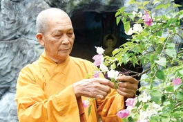 Trưởng lão Hòa thượng Thích Thiện Thành, Ủy viên Thường trực Hội đồng Chứng minh, Chứng minh Ban Trị sự GHPGVN tỉnh Quảng Nam, trụ trì chùa Hưng Quang - Ảnh: BGN