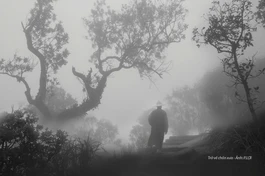 Đọc lại người xưa