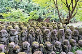 Với hơn 1.200 bức tượng đá được chạm khắc thủ công, mỗi tác phẩm tại đây không chỉ là biểu tượng của Phật giáo mà còn là câu chuyện của những con người đã tạo ra chúng