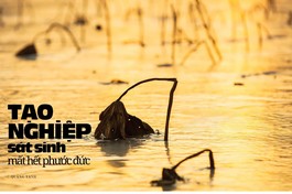 Bài trên Báo Giác Ngộ số 1287 - Thiết kế: Phòng Mỹ thuật BGN/Tống Viết Diễn