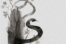 Rắn chết, rắn sống