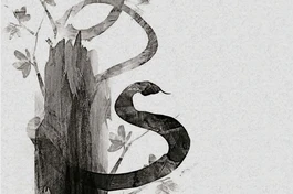 Rắn chết, rắn sống