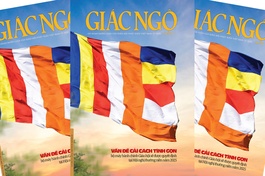 Vấn đề cải cách tinh gọn bộ máy hành chính Giáo hội sẽ được quyết định như thế nào?