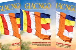 Vấn đề cải cách tinh gọn bộ máy hành chính Giáo hội sẽ được quyết định như thế nào?