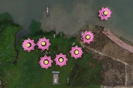 Hạ thủy 7 hoa sen trên dòng Hương giang kính mừng Đại lễ Phật đản Phật lịch 2569