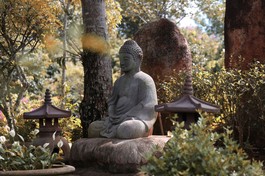 Ảnh: Quảng Đạo/BGN