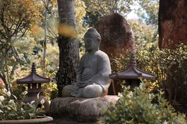 Ảnh: Quảng Đạo/BGN