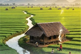 Khói đốt đồng