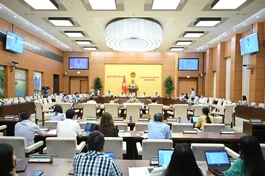 Toàn cảnh phiên họp - Ảnh: QH