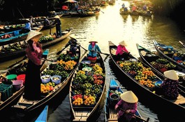 Bình minh châu thổ