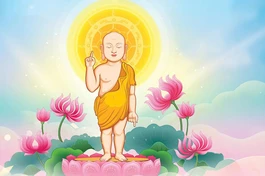 Thiết kế: Nguyên Hiếu/BGN