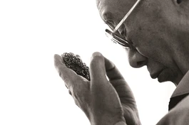 Sức hấp dẫn của một “tu sĩ bình thường”