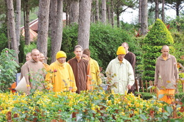 Ảnh: Thường Chiếu