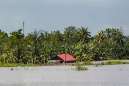 Chia sẻ yêu thương với đồng bào bị bão lũ tại Thanh Hóa, Nghệ An
