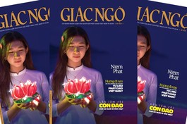 Hướng đi nào cho việc phát huy giá trị di sản tư liệu Phật giáo Việt Nam? 