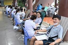 Các bạn đoàn sinh tham gia hiến máu nhân đạo tại chùa Pháp Lâm