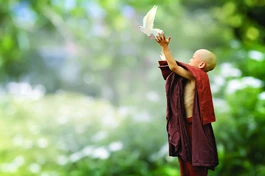 Qua việc thiền định, người tu hành học cách mở rộng lòng từ đến tất cả chúng sinh, tạo ra tâm trạng từ bi và hòa ái, giúp loại bỏ các cảm giác căng thẳng, giảm lo âu, hận thù, và bạo lực; bảo vệ sự sống của muôn loài thông qua tâm không hại và tâm hộ trì