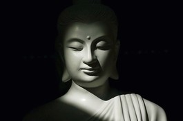 Báo Giác Ngộ số 1329: Tìm thấy ánh sáng từ ngọn đèn Thiền