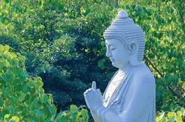 Báo Giác Ngộ số 1336: Đạo từ của Đức Pháp chủ GHPGVN trong mùa Gia hạnh Phổ Hiền năm Ất Tỵ (2026) 