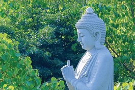 Báo Giác Ngộ số 1336: Đại lão Hòa thượng Thích Trí Quảng nói về mùa Gia hạnh Phổ Hiền