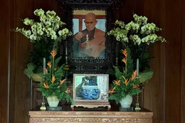Chân dung và một phần xá-lợi Thiền sư Thích Nhất Hạnh sau khi trà-tỳ, thờ tại thất Lắng Nghe trong khuôn viên tổ đình Từ Hiếu